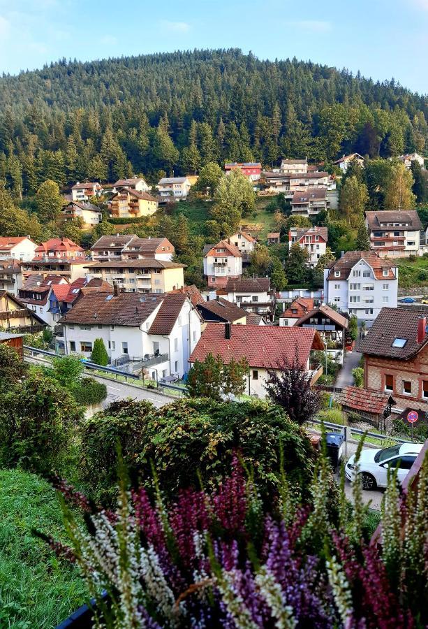 Fewo Sehl Διαμέρισμα Bad Wildbad Εξωτερικό φωτογραφία