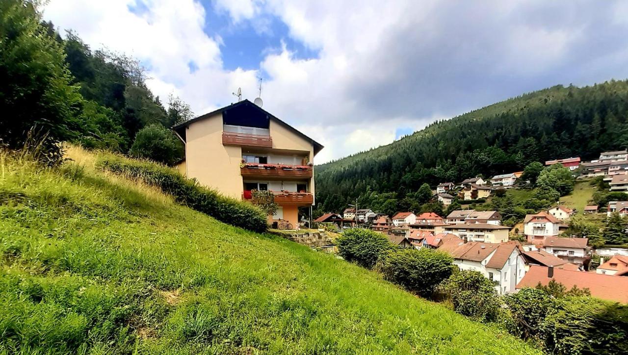 Fewo Sehl Διαμέρισμα Bad Wildbad Εξωτερικό φωτογραφία